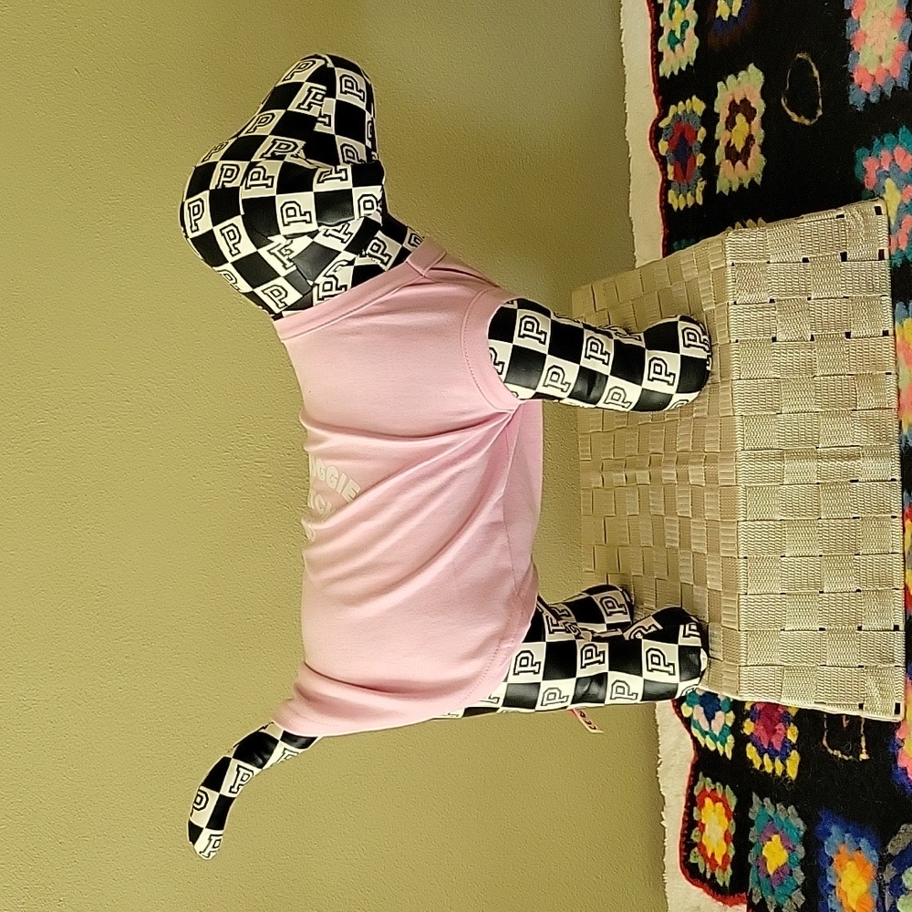 Aberdoggie & Fetch Tee